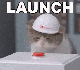 untitled.gif