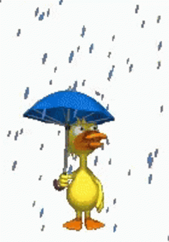 untitled.gif