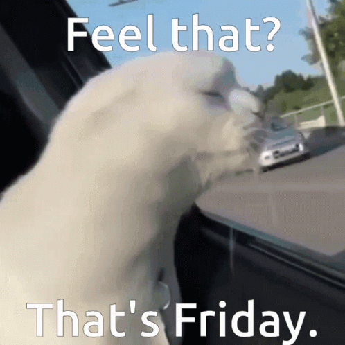 untitled.gif