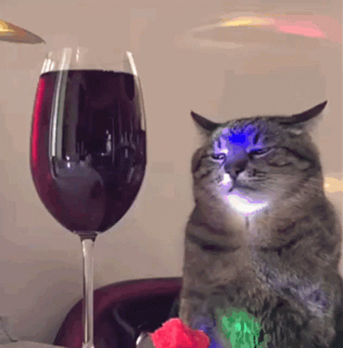 untitled.gif