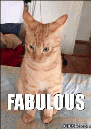 untitled.gif