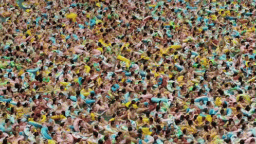 untitled.gif