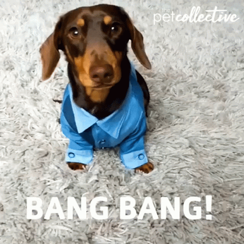 untitled.gif