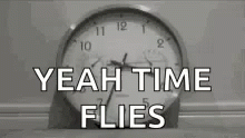 untitled.gif