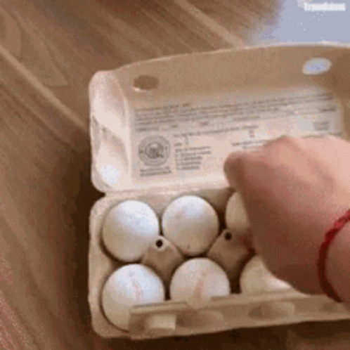 untitled.gif