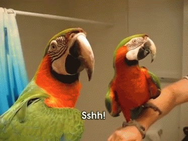 untitled.gif