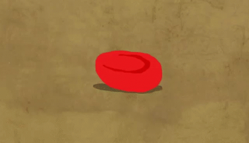untitled.gif