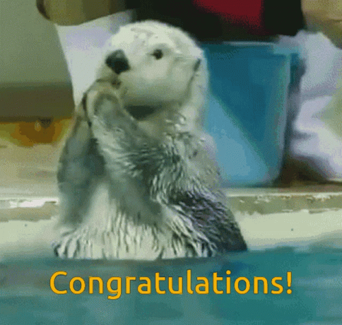 untitled.gif