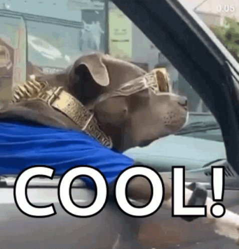 untitled.gif