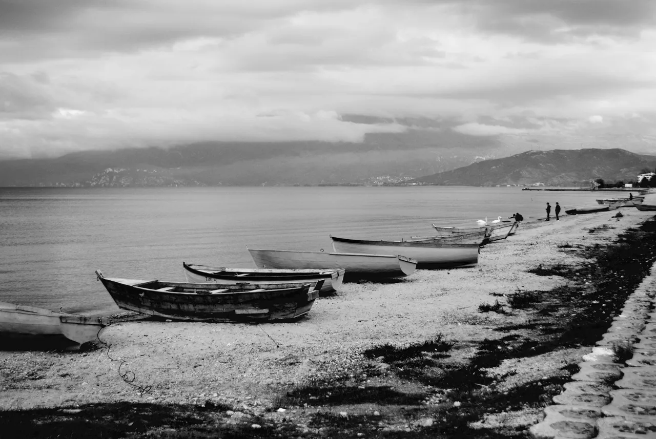 DSC_01571a0eda.jpg