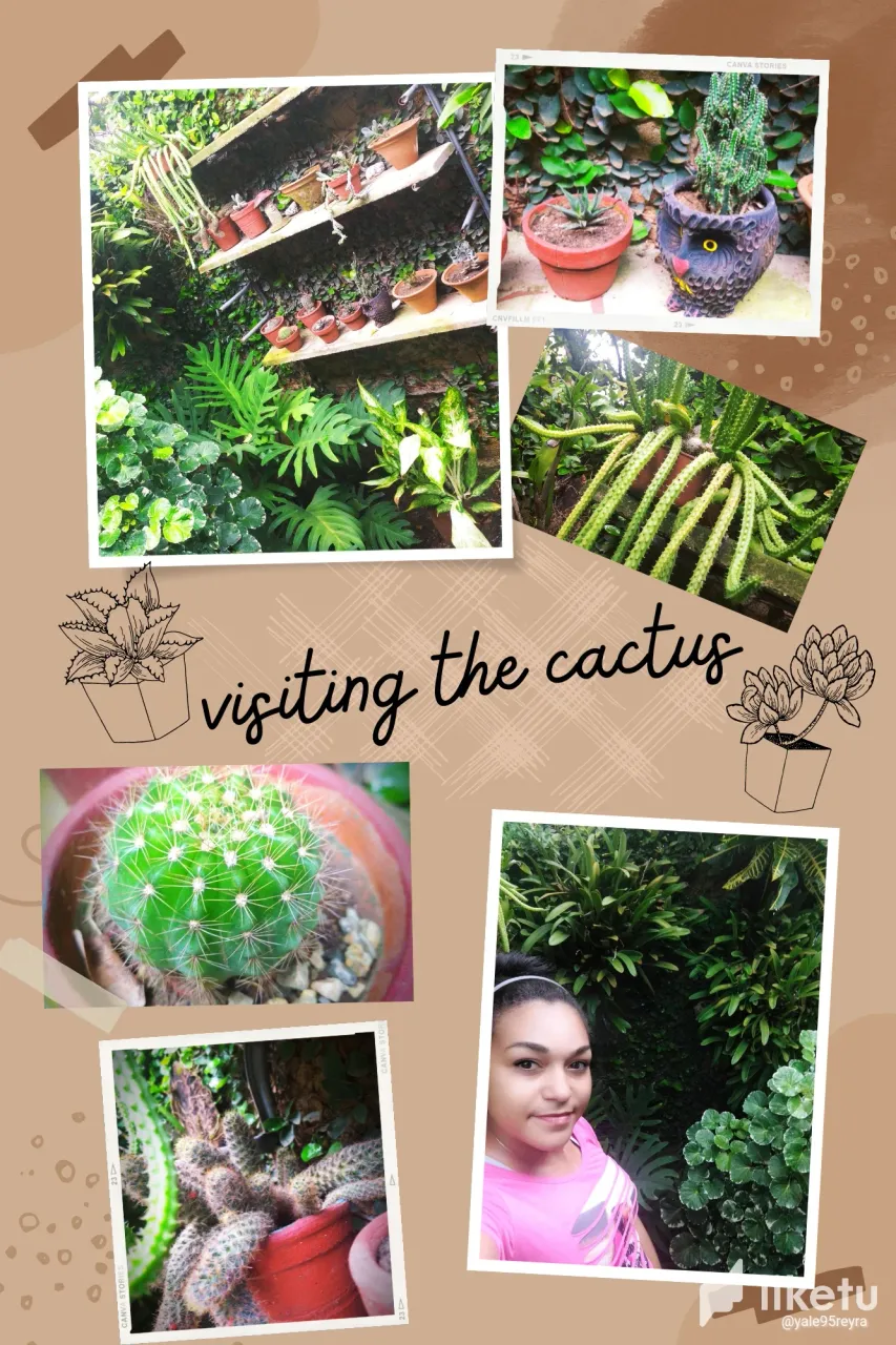clmb4ks2e01kq1oszh3xagopx_Visitando_los_cactus_yalereyra.webp