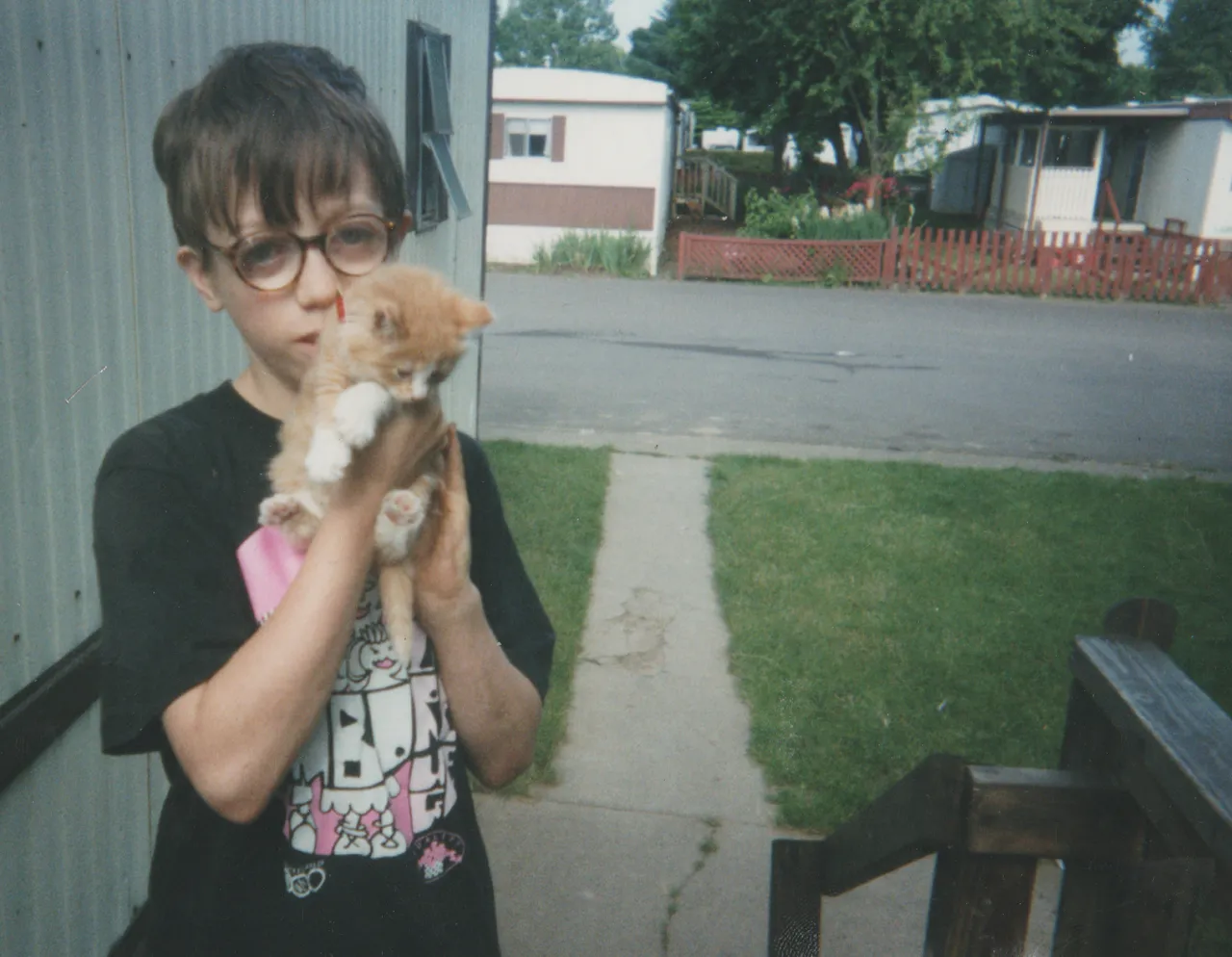 1998-05 Joey & Baby Honey Cat as a Kitten on 163 Front Porch.png