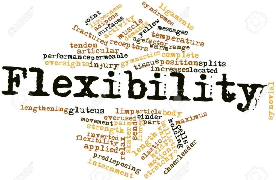 16678609-abstract-word-cloud-for-flexibility-with-related-tags-and-terms-stock-photo.jpg