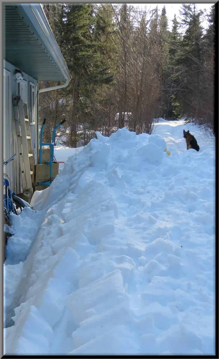 obstical on path avalanche of snow off garage JJ sits by door Bruno at beginning of trail.JPG