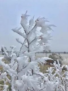 farmstead farmsteadsmith freezing fog