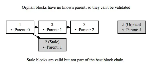 上图非常好的反映了Stale Block和Orphan Block的关系