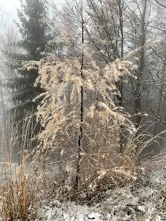 Jesienno-zimowo w drodze na Czupel