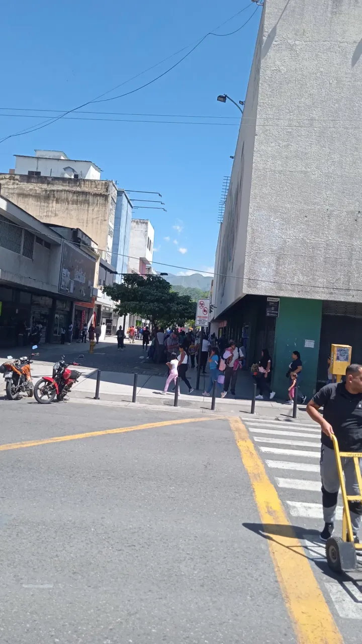 cM7SM8O2OKGDZG3z_IMG_20240930_110202_1.webp