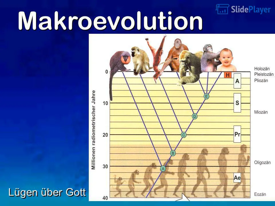 Gott+schuf+weder+die+Welt+noch+den+Menschen.jpg