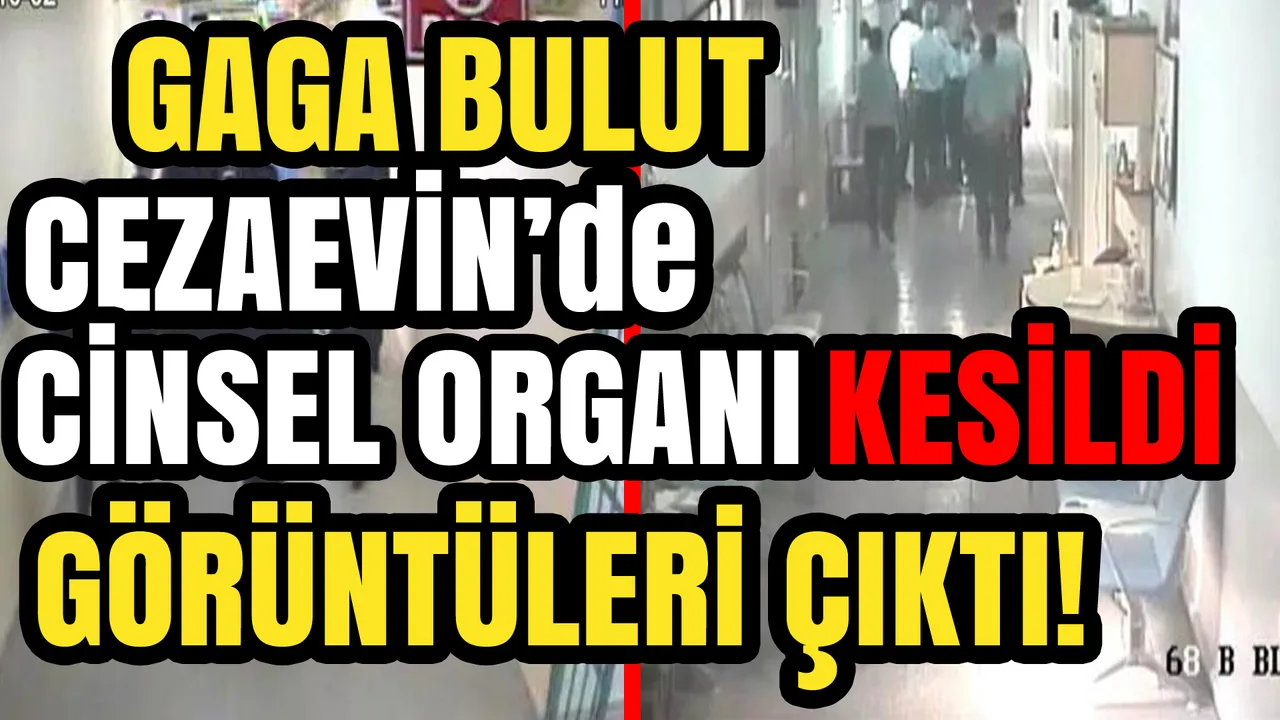 gaga-bulut-cezaevinde-cinsel-organi-kesildi.png