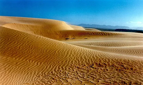 medanos de la peninsula de la g.png