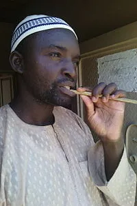 Man_brushing_his_teeth_using_chewing_stick.jpeg