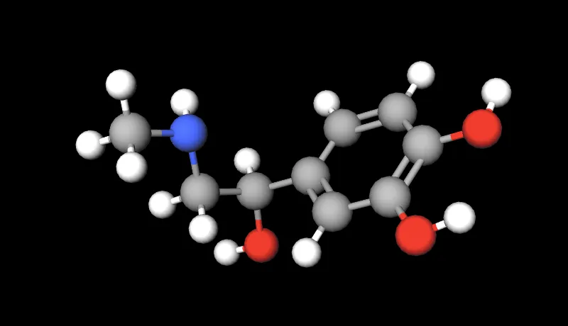 Picture Molecule Adrenaline 800 460.png