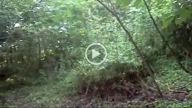 Jacob Goes Off Grid 174 Part 2a.png