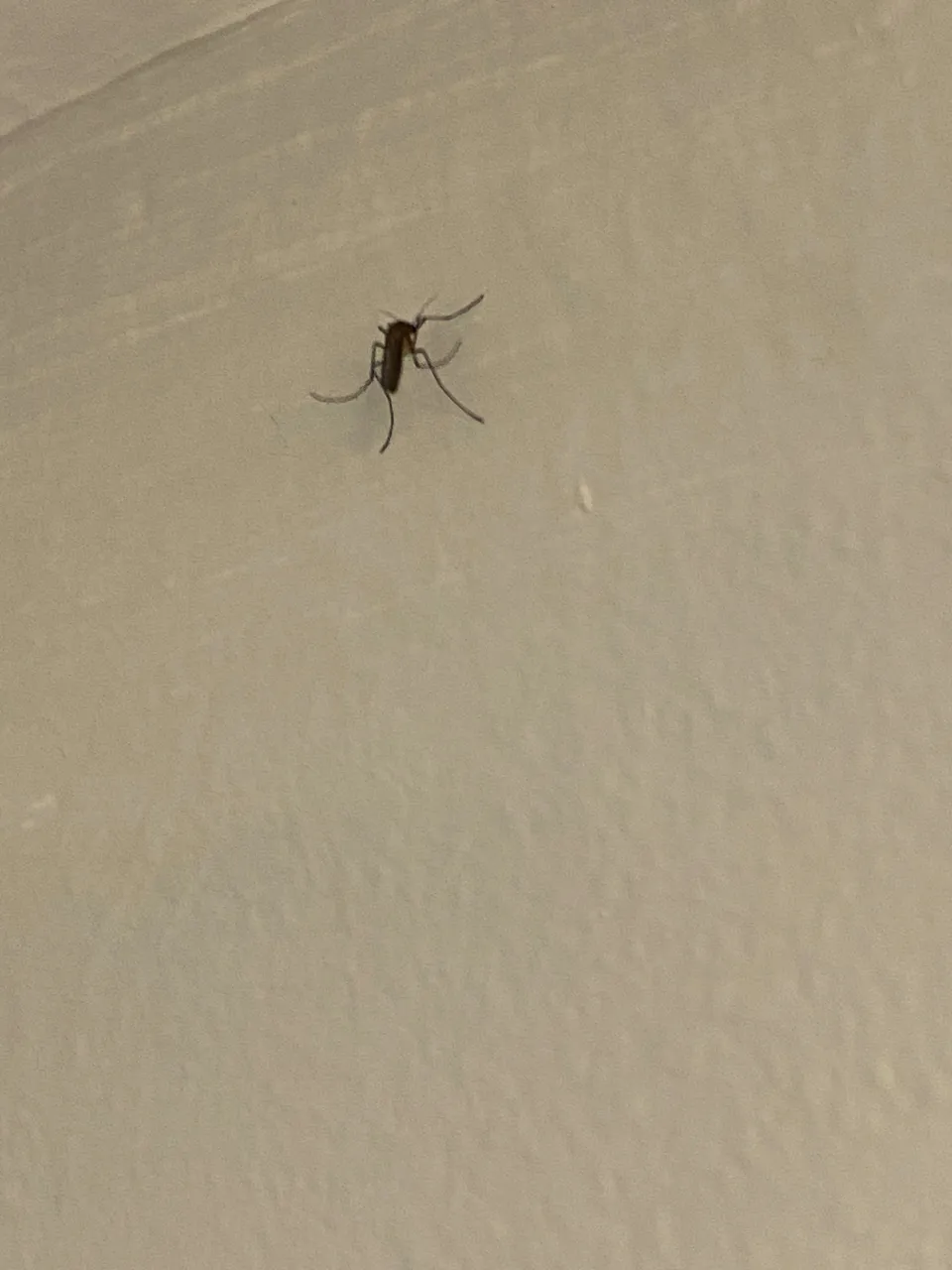 IMG_3AA4F3DC5C23-9.jpeg