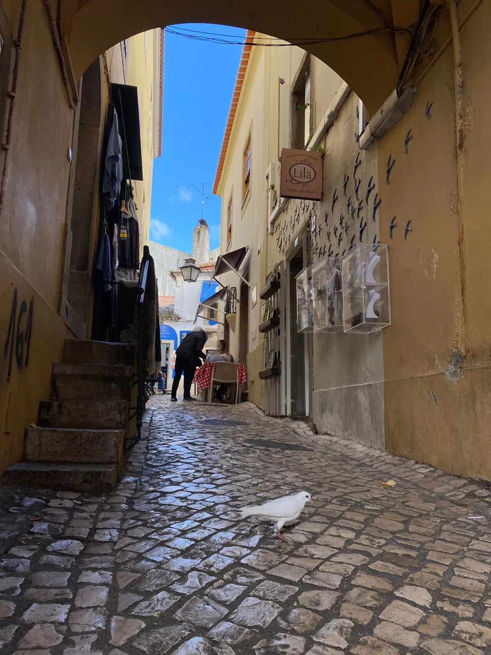 IMG_8459.jpeg