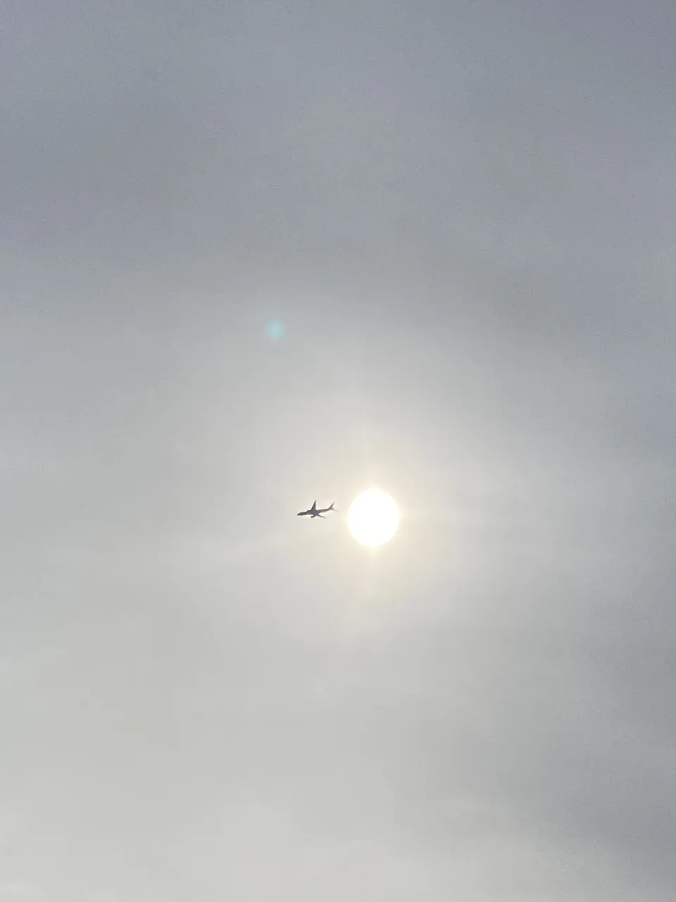 IMG_6691.jpeg