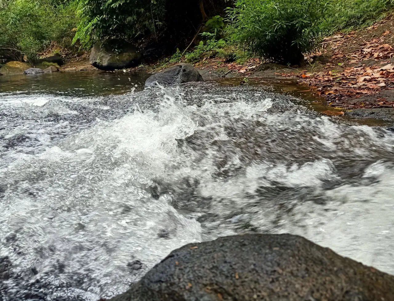 IMG_20240131_161117.jpg