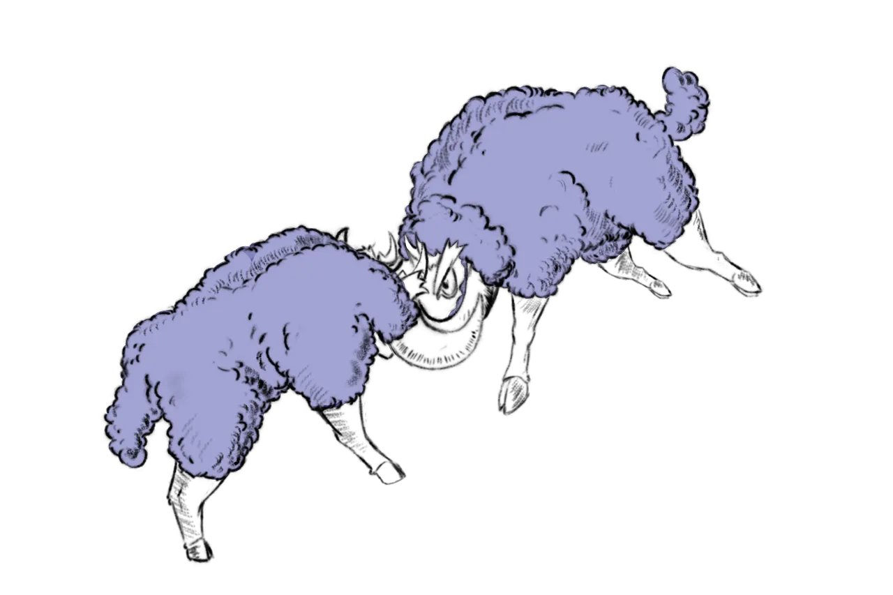 05.png