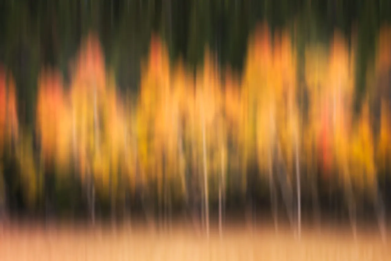 Alfredo Mora Photography ICM-2.jpg