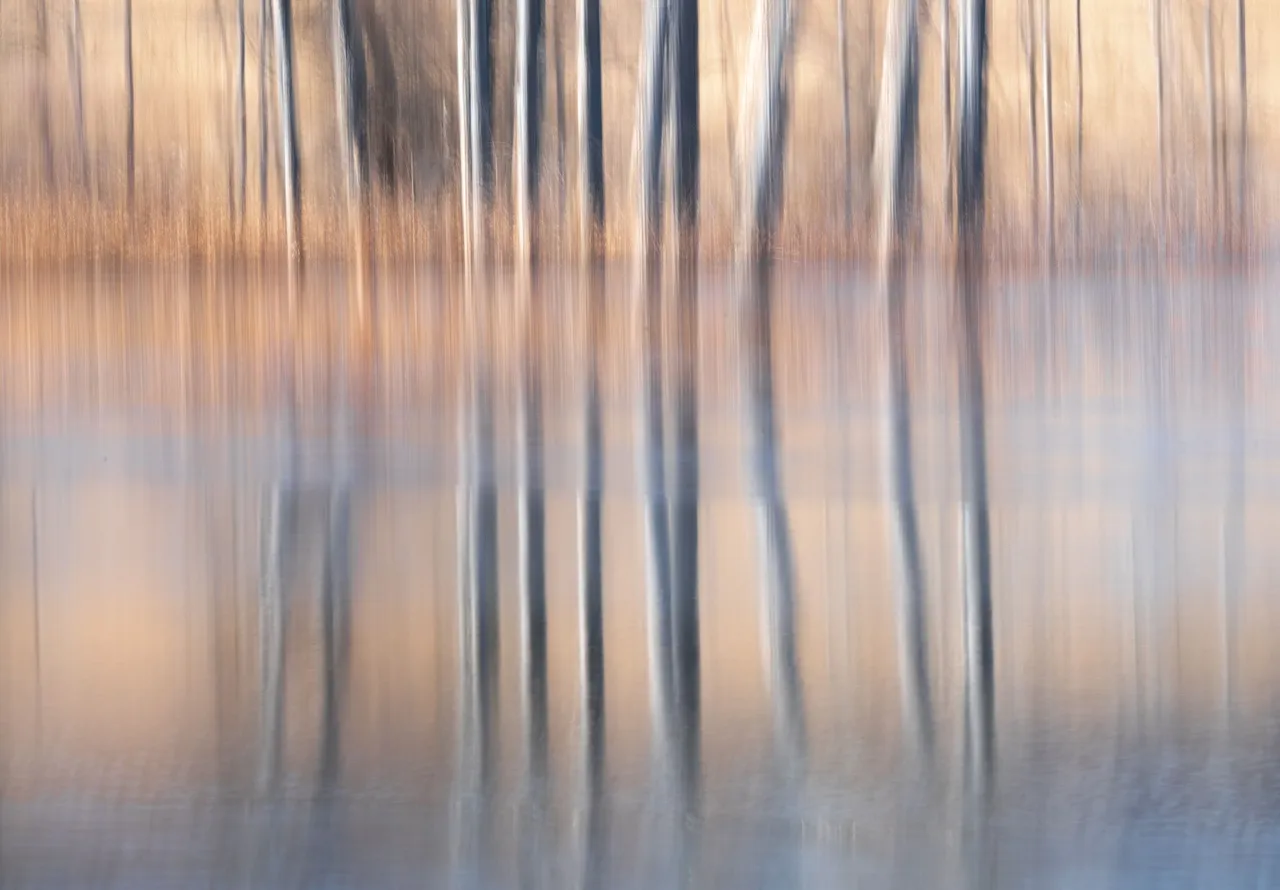 Alfredo Mora Photography ICM-1-2.jpg