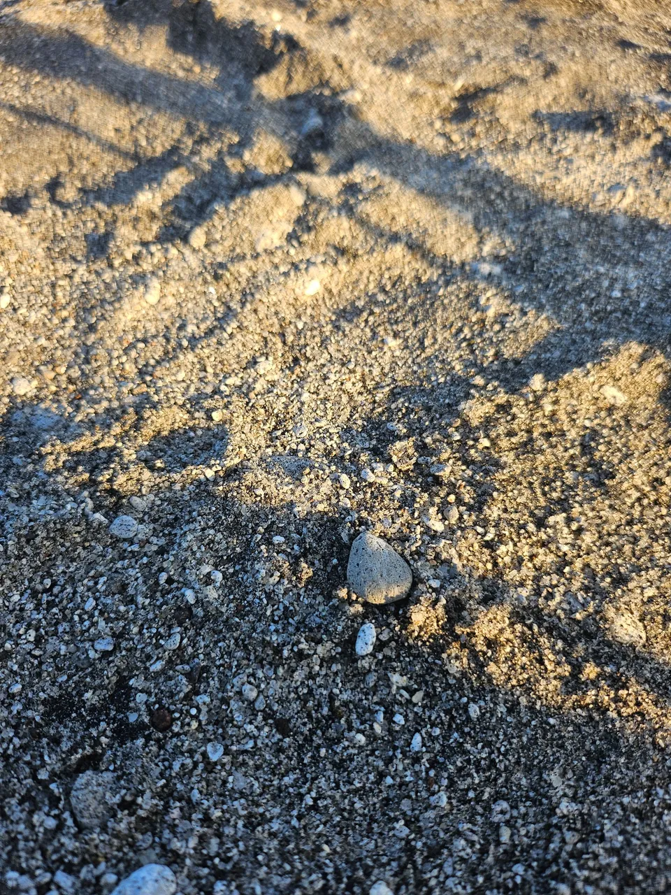 20231228_165136.jpg