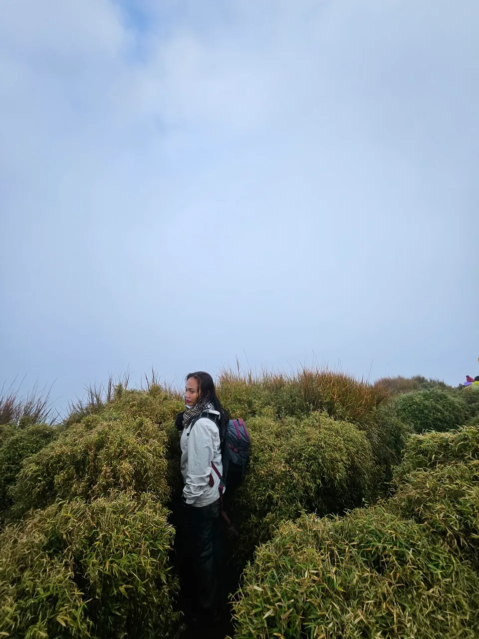 IMG-a74d8be4ed3802d960ba77e95a4b9062-V.jpg