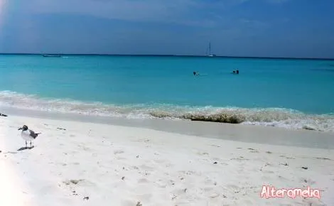 playa los roques 2.jpg