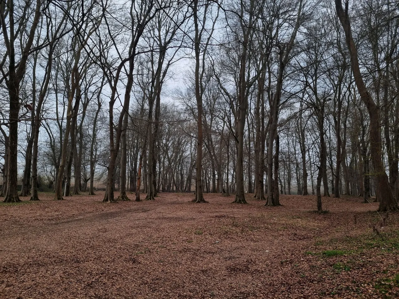 1000060880.jpg