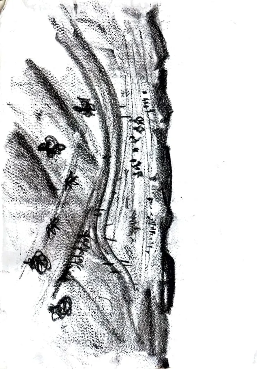 Badami sketches_14 (1).jpg