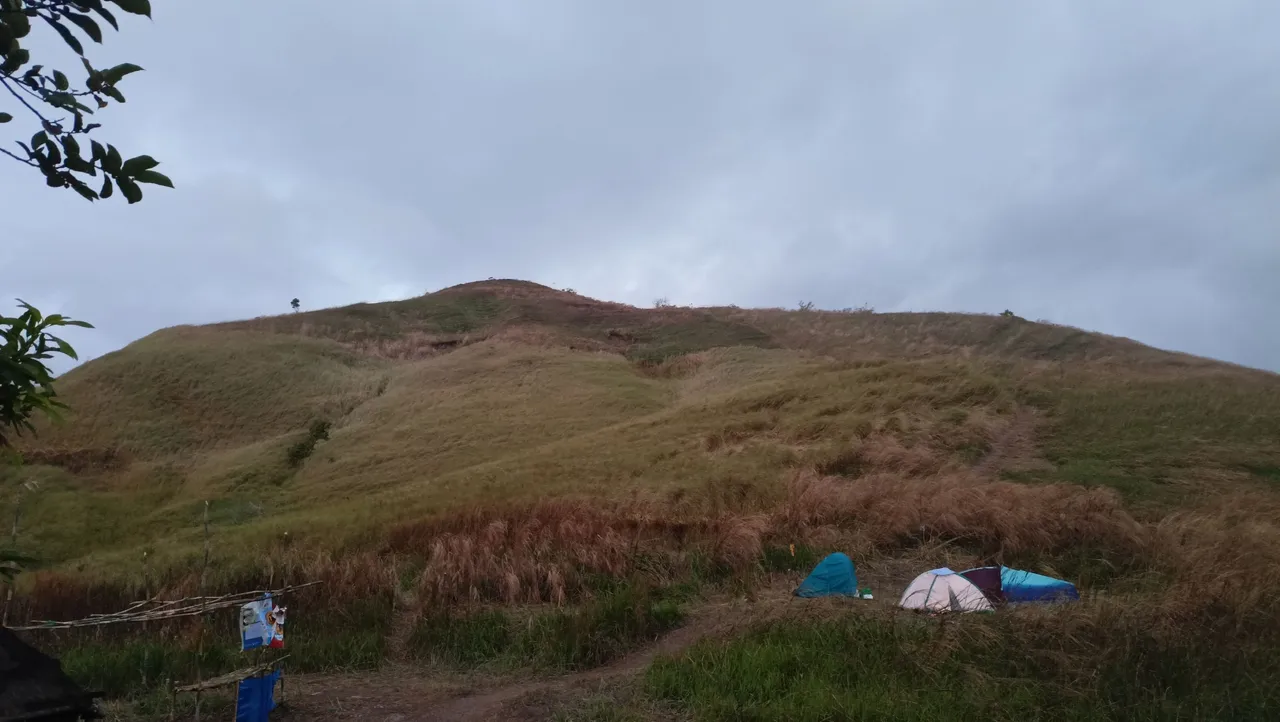 IMG20230409053625.jpg