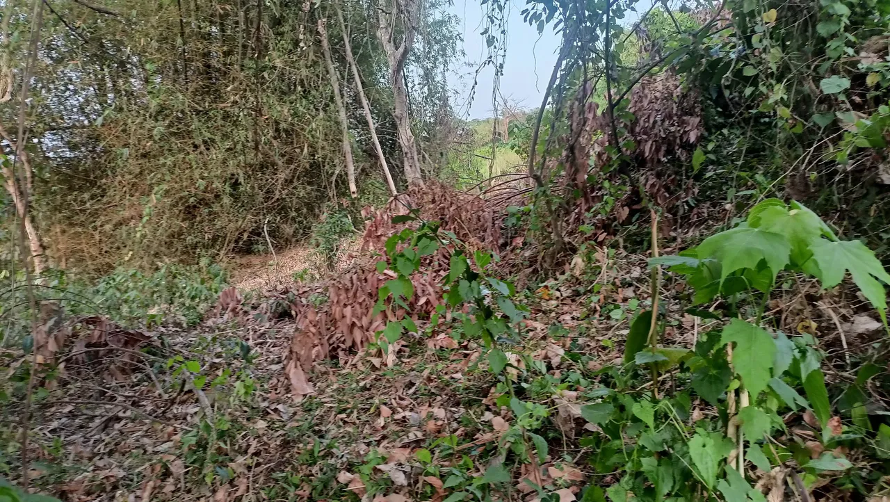 IMG20230408175042.jpg