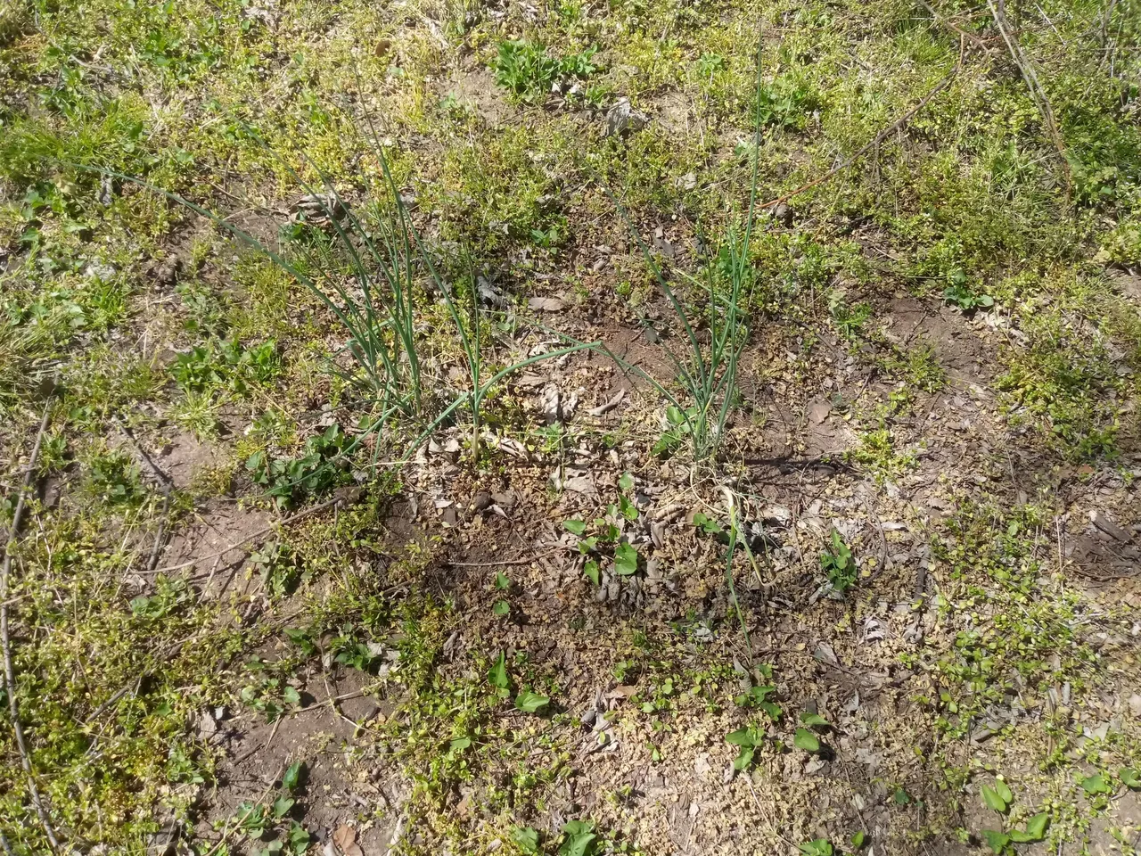 20210411_120314.jpg