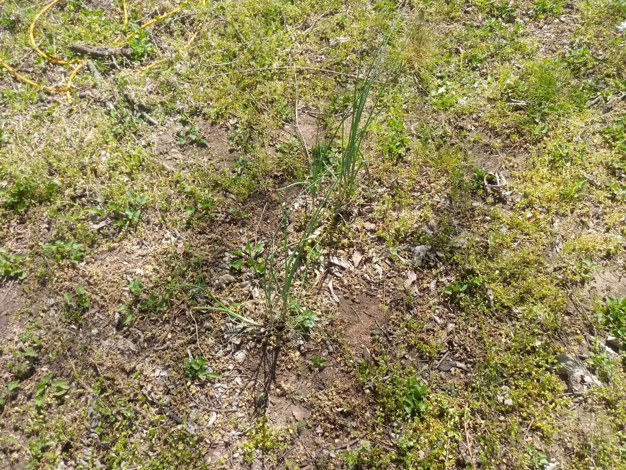 20210411_120320.jpg
