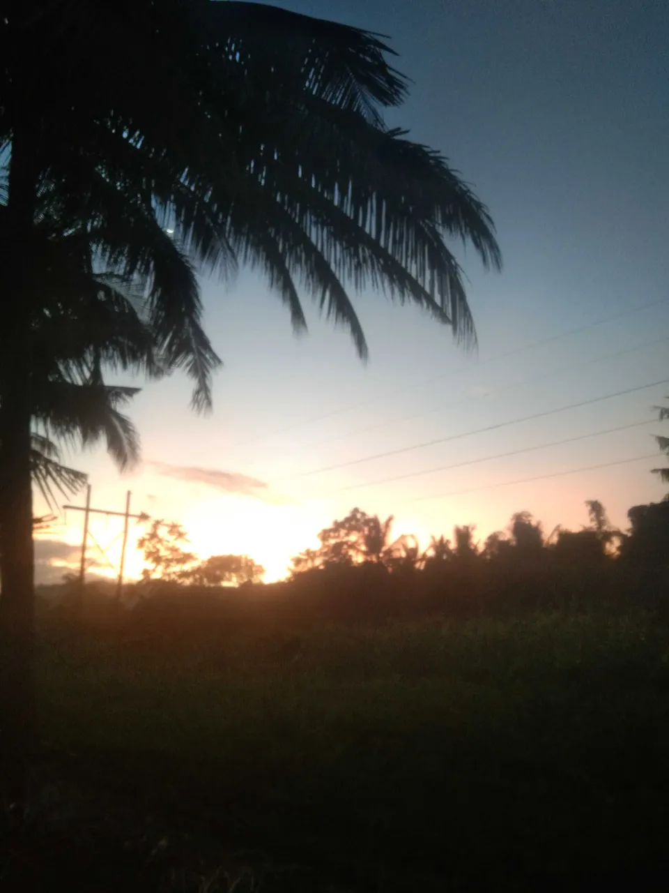 IMG_20250201_180536.jpg