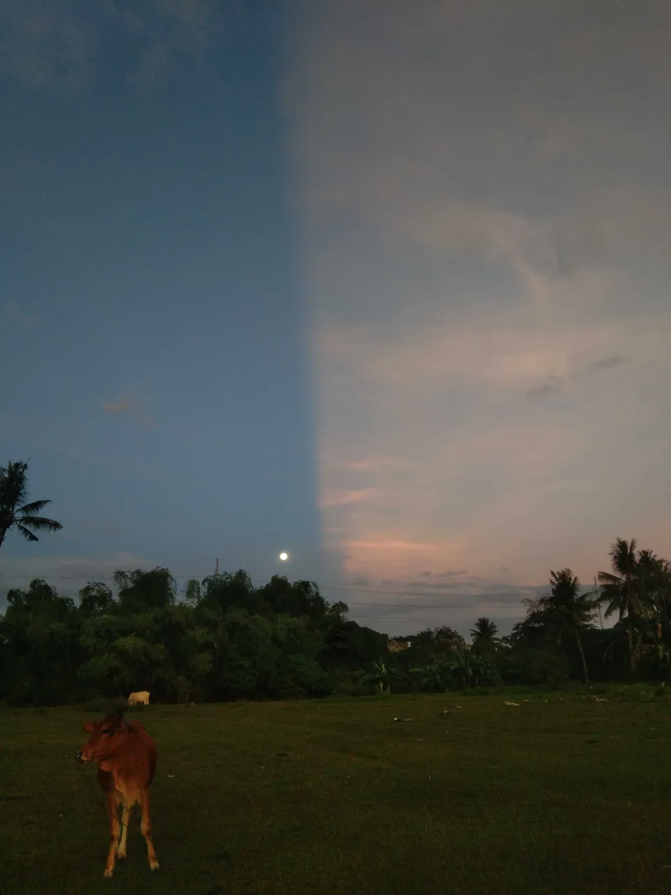 IMG_20231226_173656.jpg