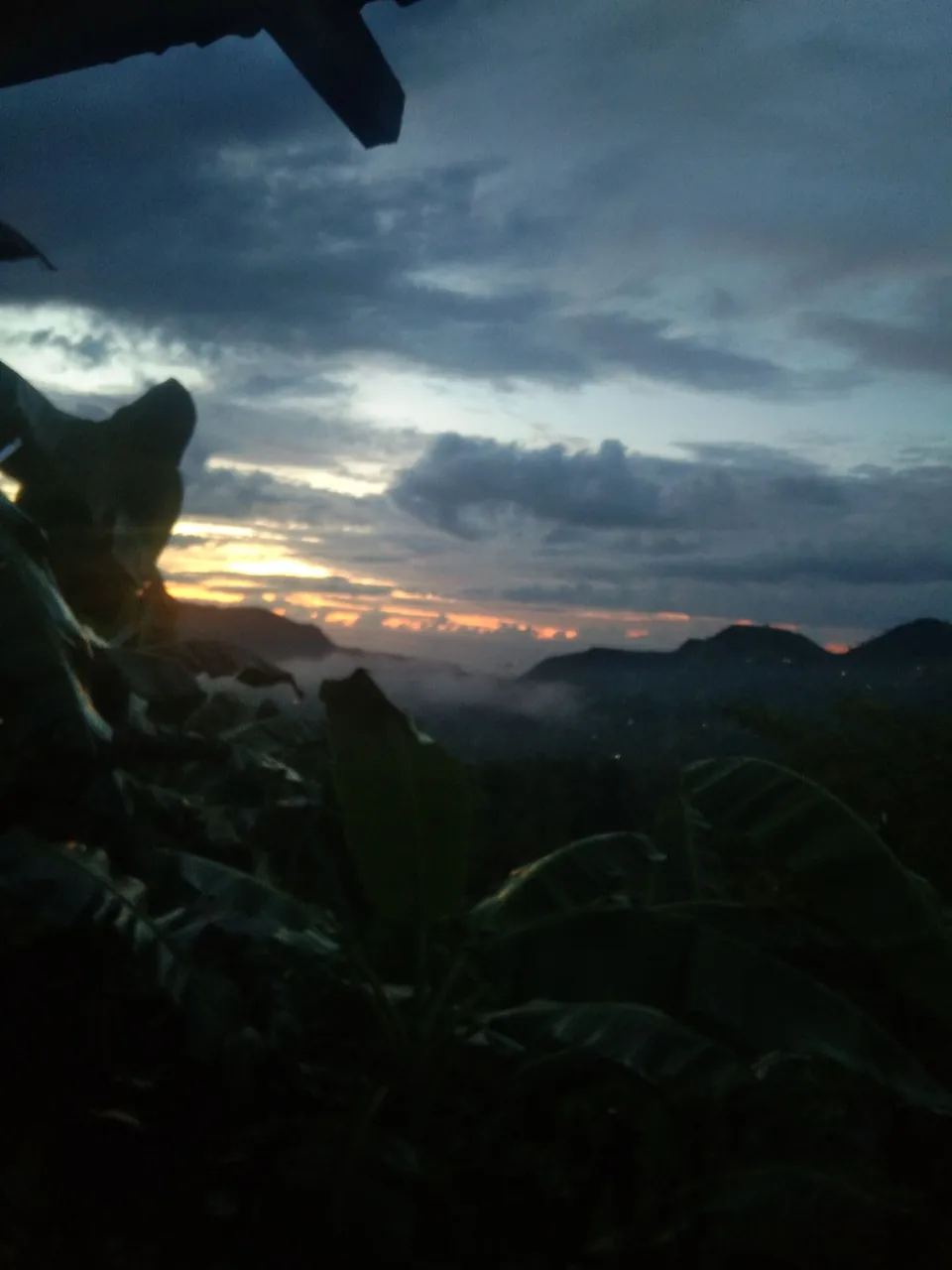 IMG_20240818_052422.jpg