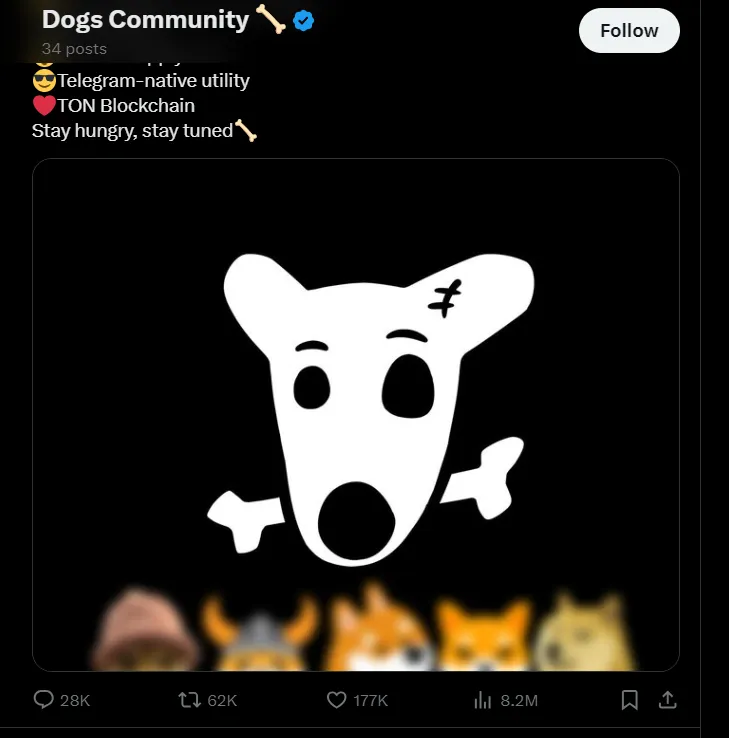 Dogs.png