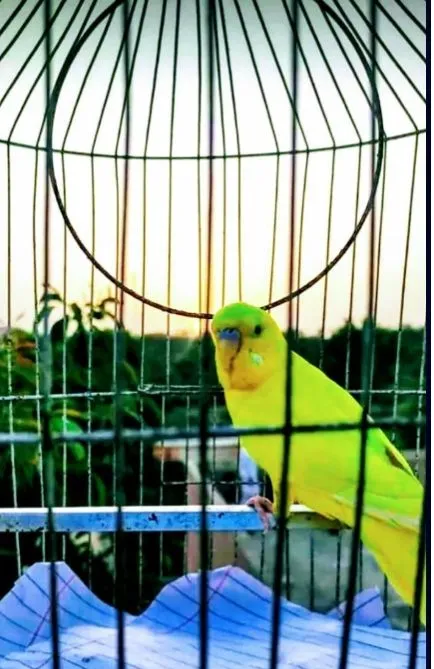 Screenshot_20220602-192442~2.jpg
