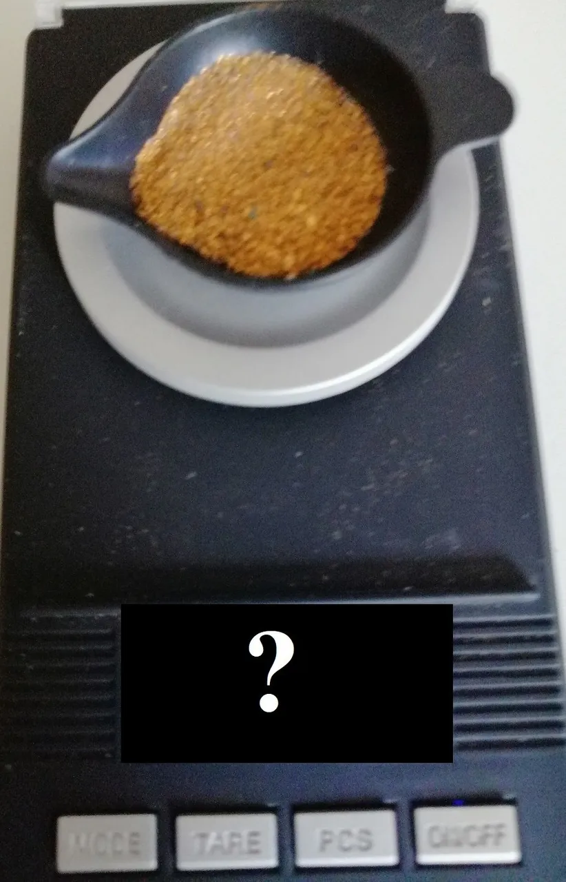 Quiz Bild Nummer 53 Bearbeitet.jpg